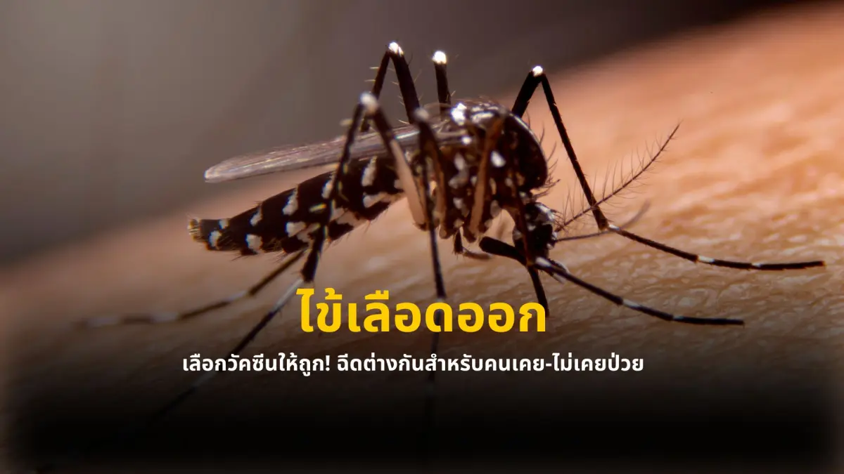 “วัคซีนไข้เลือดออก” 2 ชนิด คนเคย-ไม่เคยป่วย ฉีดต่างกัน