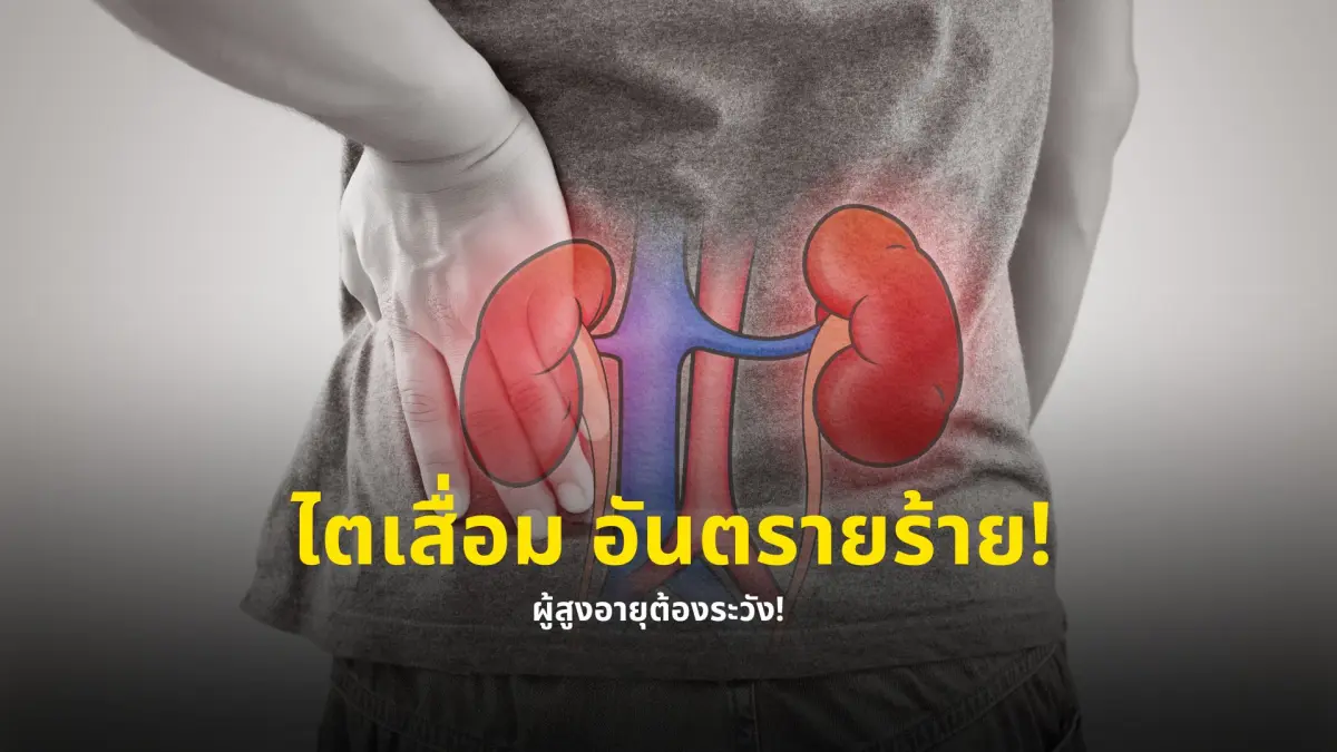 ไตเสื่อม อันตรายร้าย! ผู้สูงอายุต้องระวัง!
