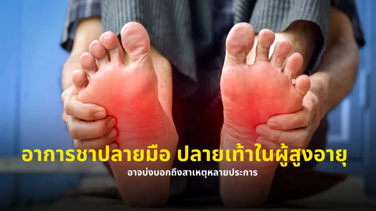 สัญญาณเตือนภัยจากปลายมือปลายเท้า: อาการชาที่บ่งบอกถึงปัญหาสุขภาพในผู้สูงอายุ